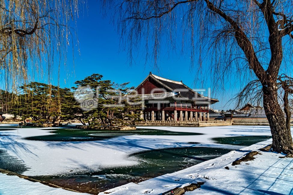 경회루,gyeonghoiroo,경복궁,gyeongbokgungpalace,겨울,설경,눈,snow,snowscene,snowylandscape,겨울풍경,풍경,landscape,코리아,한국,korea,한국전통,한국문화재,전통문화재,조선,조선왕조,joseon,thejoseondynasty,한옥,hanok,조선왕실,역사,국사,한국사,history,히스토리,tree,나무