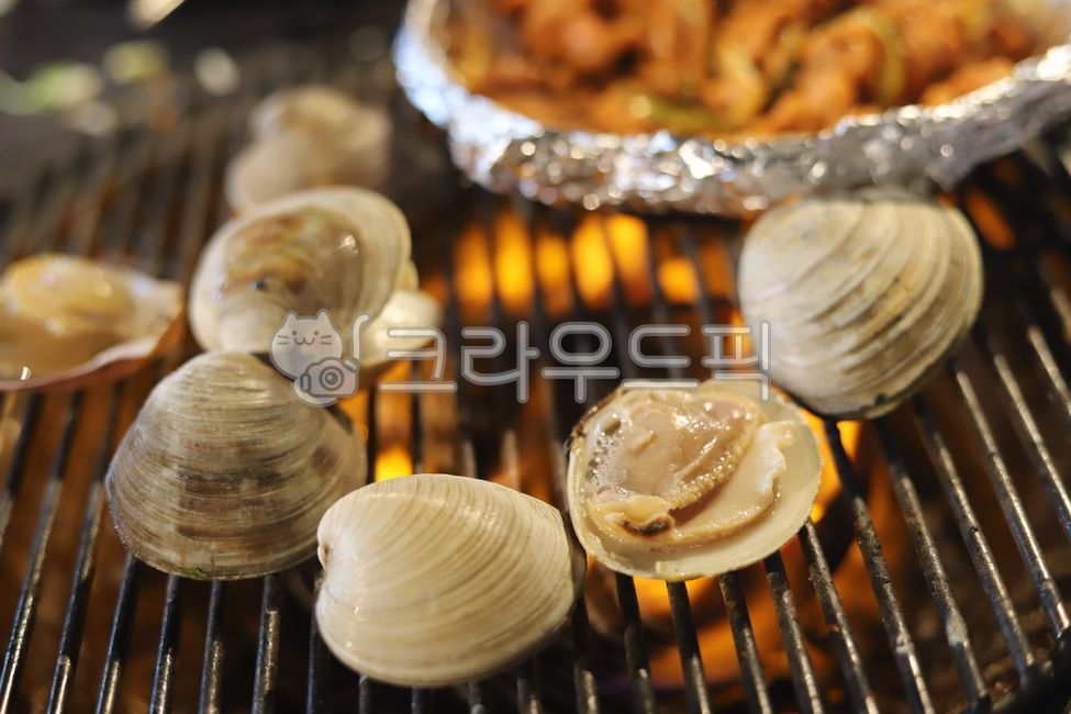 clam,조개구이,백합조개,조개,seafood,food,대합,seashell,음식
