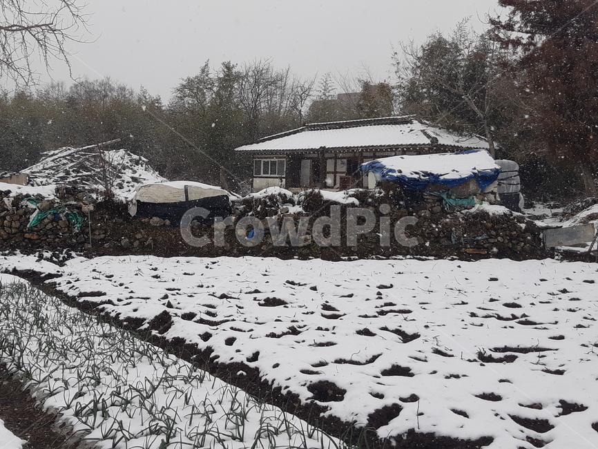 Rural,thatched house,cottage,winter landscape,rural winter
