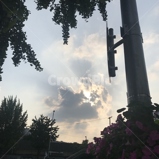 길,구름,해,순간,조화,자연,풍경,nature,landscape,plant,식물,light,빛,flare,플레어