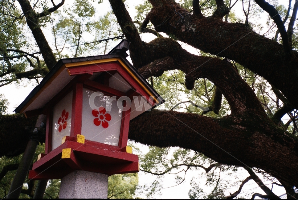 일본,일본신사,japan,일본전통,japantraditional,shrine,shinto,후쿠오카,다자이후,fukuoka