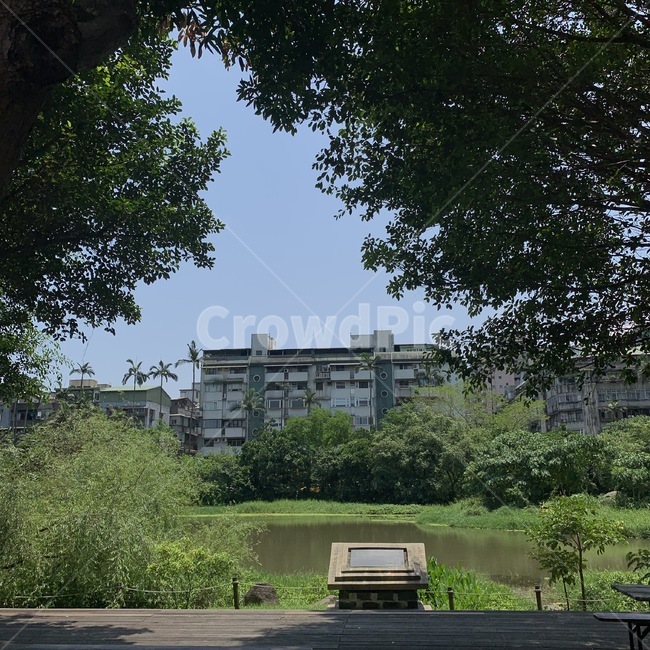 자연,친화적,나무,초록색,풍경,그림자,햇빛,숲,하늘,오토바이,건물,landscape,sky,shadow,의자,벤치
