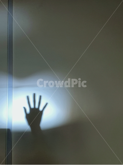 손,그림자,손그림자,손가락,안녕,hi,hifive,인사,햇빛,shadow,실루엣,비침,hand,silhouette