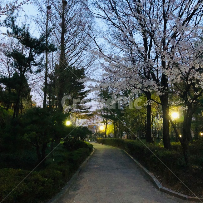 저녁공원,밤공원,공원,오솔길,마법의길