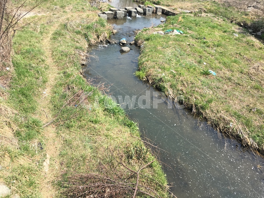 냇물,하천,천,시냇물,봄,자연,풍경,nature,landscape,ditch,도랑