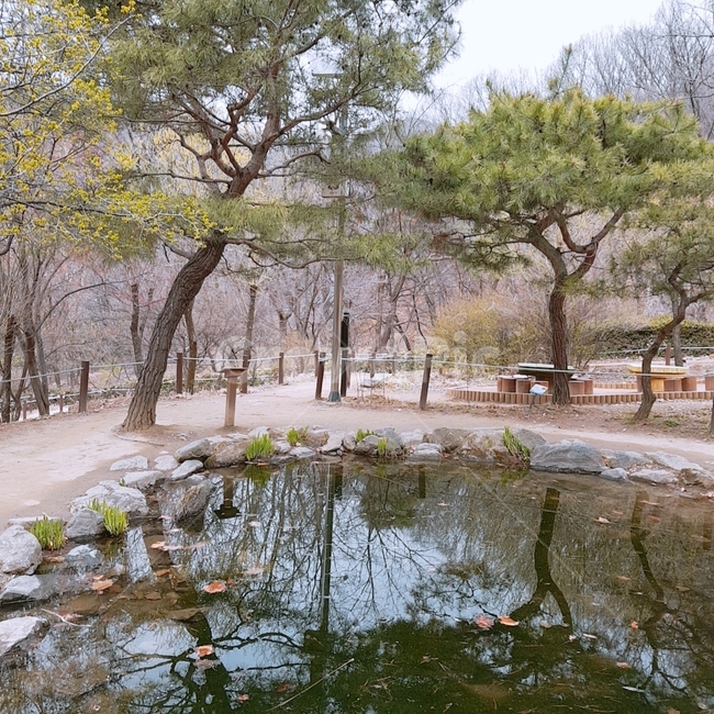 연못,pond,나무,tree,식물,plant,자연,풍경,nature,landscape