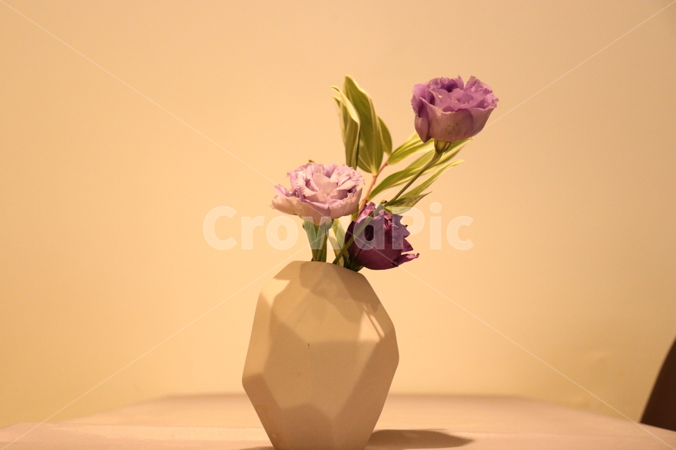 꽃,테이블,세팅,화분,꽃꽂지