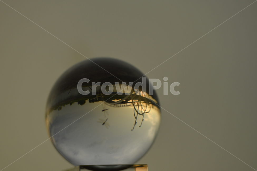 sphere,nature,자연,outdoors,구체,옥외
