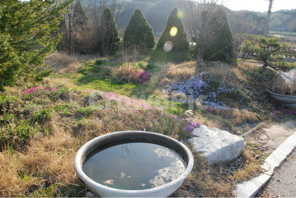 햇살,햇빛,정원,나무,조경,자연,풍경,nature,landscape