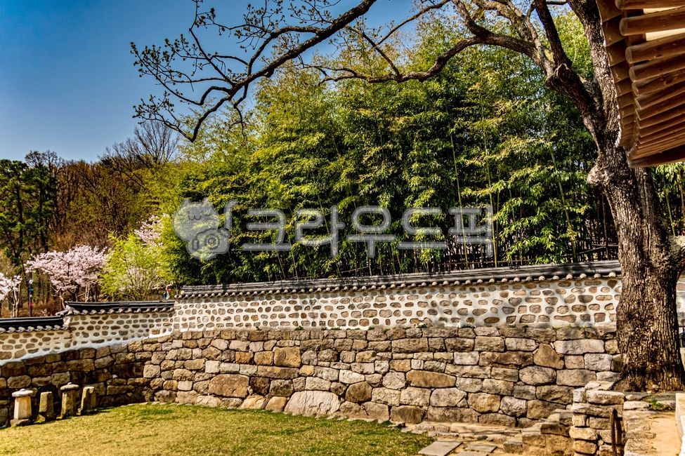 창녕위궁재사,한옥,문화재,한국적인,한국전통,전통문화,hanok,koreanstylehouse,대나무,bamboo,돌담