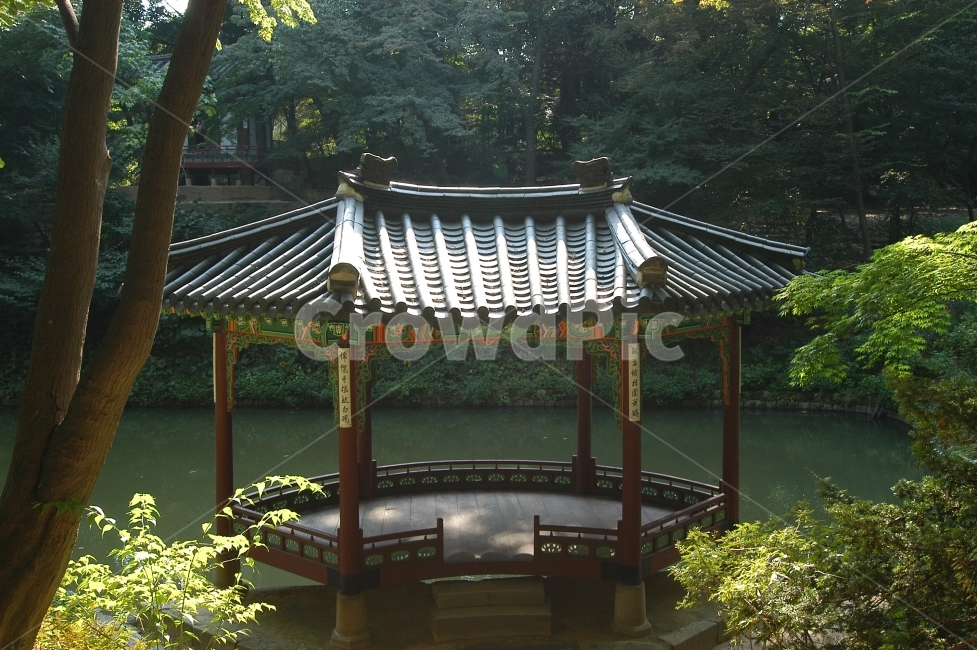 관람정,창덕궁,후원,비원,창덕궁후원,정자,궁,고궁,궁궐,전통,한국,한국전통,전통건축,건축,건축물,전통건축물,문화재,서울,연못,숲,자연,한국전통,한국문화,korean traditional,korean culture,랜드마크,landmark,tourist attraction,한국랜드마크,한국관광지,한국명소,korea landmark,korea tourist attraction