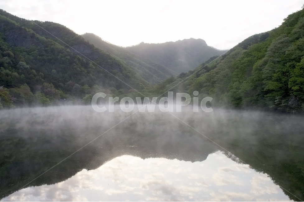 자연,주왕산,주산지,물안개,버드나무,자연,풍경,nature,landscape,한국자연풍경,한국자연경관,korea nature landscape,outdoors,옥외,weather,날씨