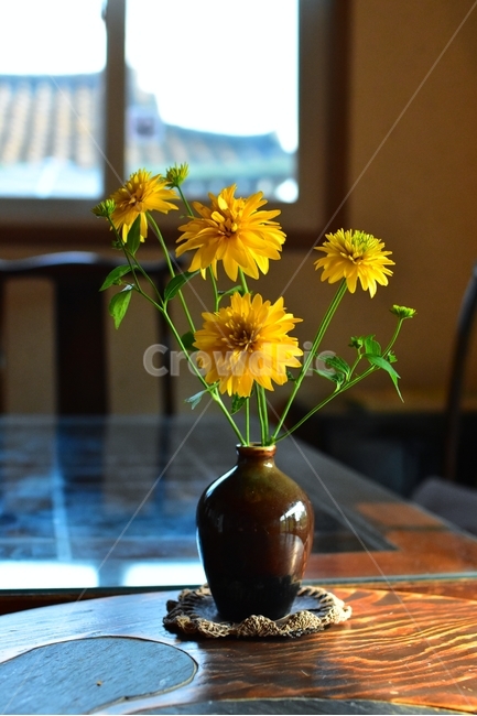 자연,꽃,노랑,화분,상,빛,노란꽃,국화,초록,호리병,장식,데코,식탁,꽃,flower,실내용화초,화분,화초,house plant