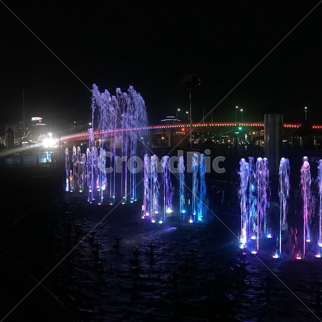 분수,음악분수,풍경,공원,축제,분수대,야경,밤,풍경,nightscape,night,landscape,축제,행사,festival,carnival,event,water,물,fountain