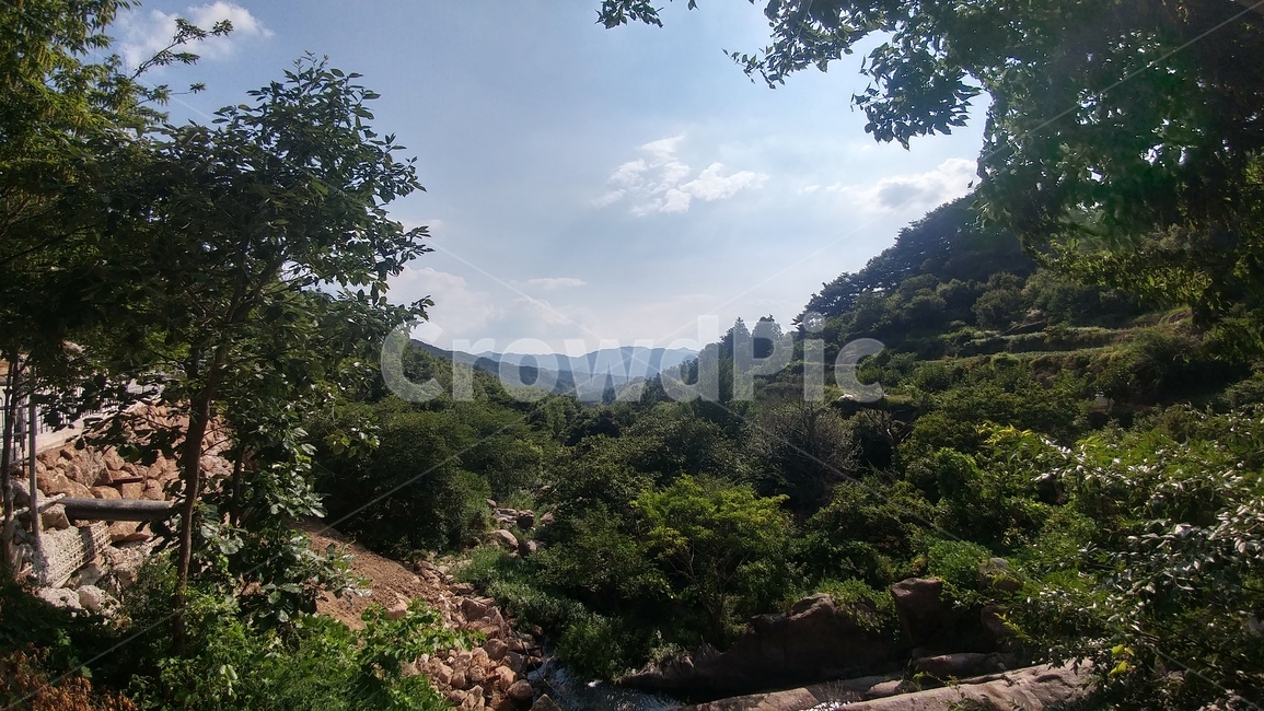 산,산속,자연,숲,숲속,자연,풍경,nature,landscape,outdoors,옥외