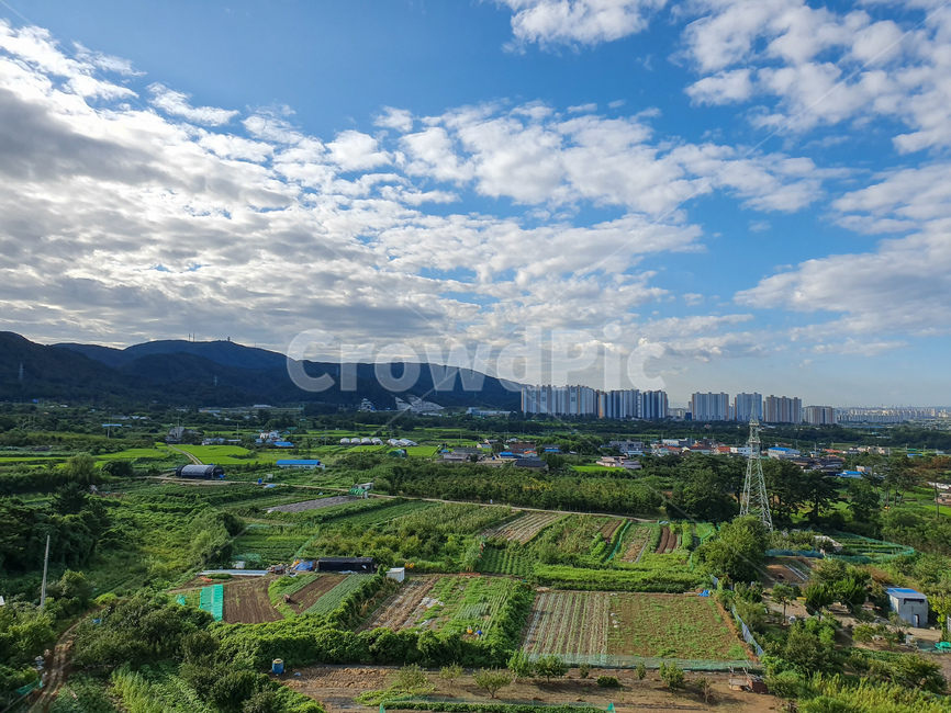 하늘,구름,자연,밭,풍경,나무,산,sky,cloud,nature,tree,view,한국,korea,시골,rural,countryside