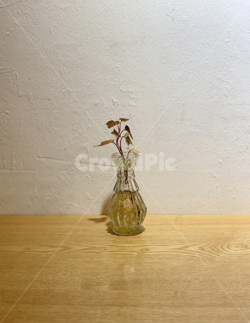 꽃,flower,꽃병,vase,장식,decoration