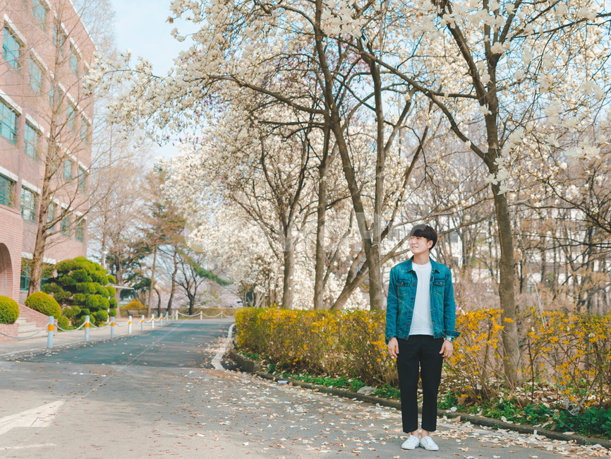 남자,인물,벚꽃,봄,man
