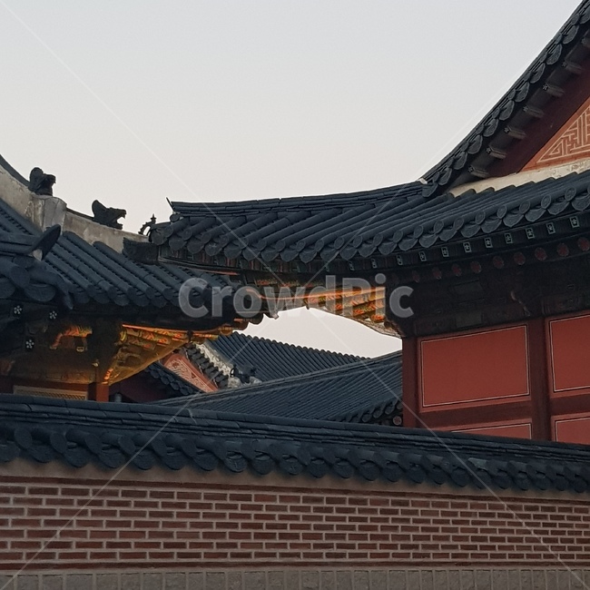 한국,경복궁,gyeongbokgung,야간개장,palace,한국전통,한국문화,korean traditional,korean culture,건축물,건물외관,exterior,building,structure,architecture,construction