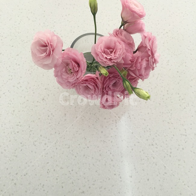 꽃,감성,flower,pink,분홍