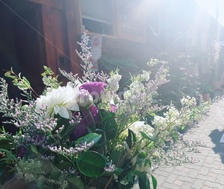 plant,식물,flower,꽃,꽃부케,꽃다발