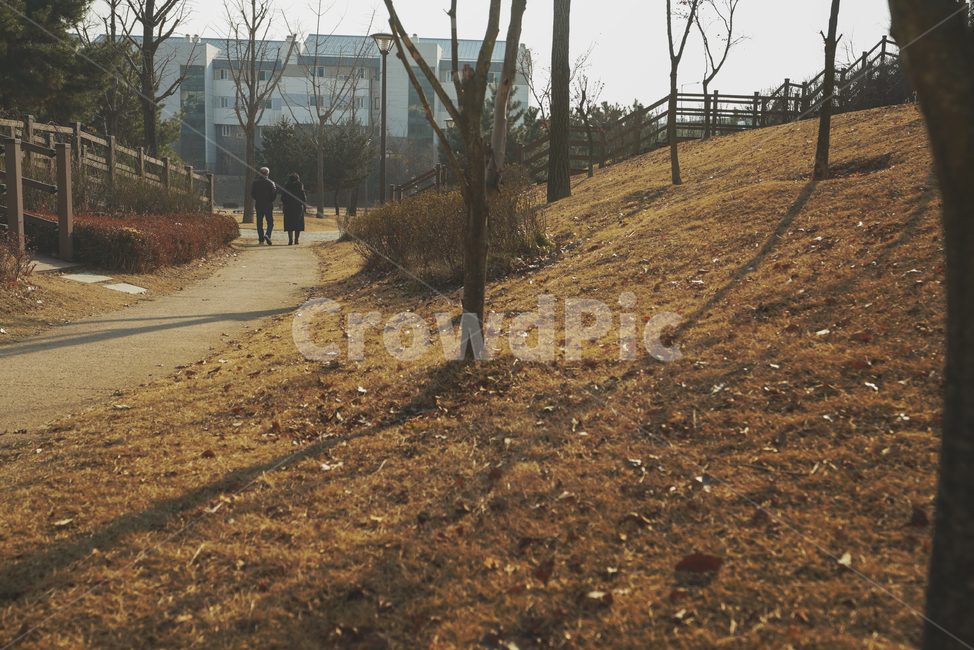 person,사람,산책,공원,부부,걷기,가을,계절,ground,인간,human,road,길