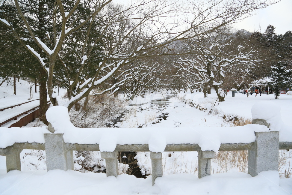 고창,선운사,선운사설경,설경,겨울,겨울,계절,winter,season,자연,풍경,nature,landscape,한국자연풍경,한국자연경관,korea nature landscape,snow,눈,blizzard,눈보라,storm,폭풍,outdoors,옥외