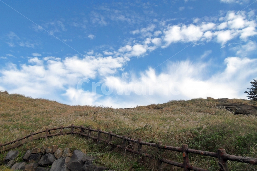 풍경,landscape,하늘,sky,구름,croud,감성,자연,생동감,fresh,nature,way,식물,plant,바람,wind,가을,fall,억새풀,자연,풍경,nature,landscape,outdoors,옥외,field,들,grassland,목초지