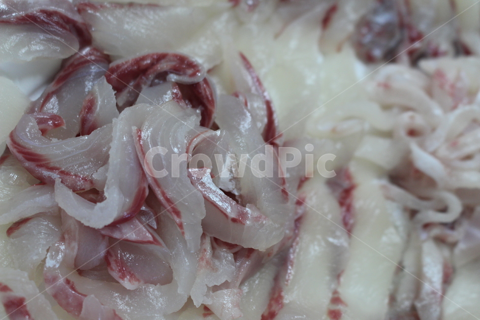 생선,회,일식,활어회,간식,디저트,요리,고기,숭어,활어,음식,식재료,요리,food,cook,meal,dishes,food reserves