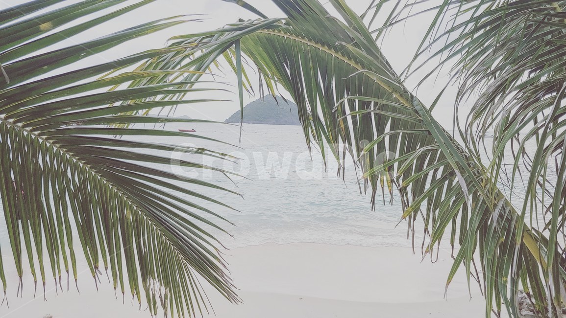 푸켓,바나나비치,바다,야자수,여름,summer,island,섬