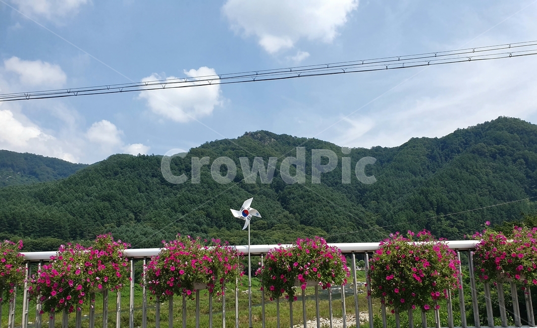 산,꽃,나무,tree,flower,mountain,sky,하늘