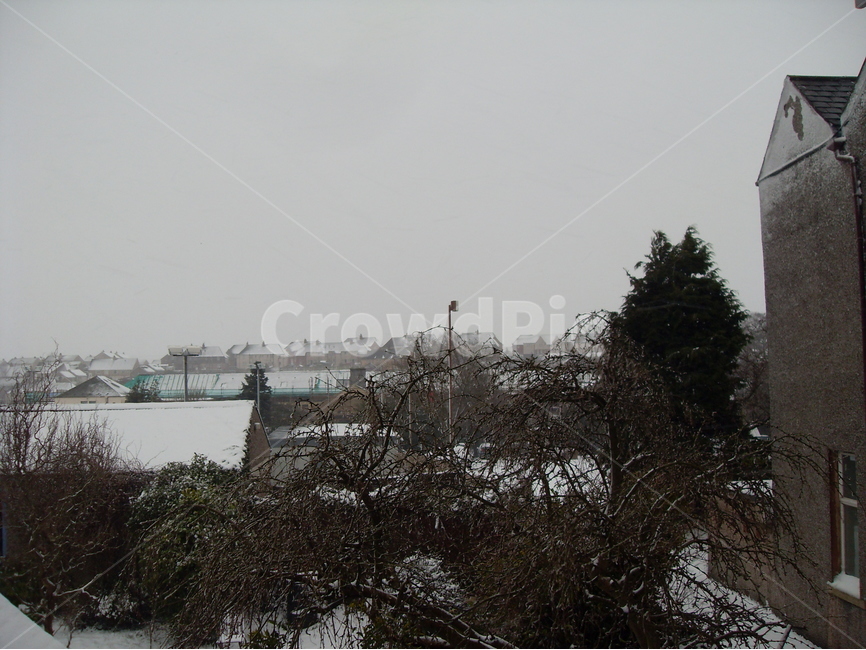 영국,스코틀랜드,눈내린마을풍경,고요함,인적없음,늦은오후,저녁무렵,겨울,계절,winter,season,도시,풍경,city,landscape,해외,외국,세계,foreign,oversea,world,세계도시풍경,해외도시풍경,외국도시풍경,world cityscape,tree,나무,plant,식물