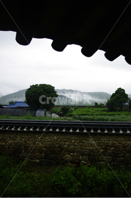 전통가옥,기와지붕,건축,traditional,담장,나무,풍경,시골,마을,풍경,landscape,country,rural,town,한국전통,한국문화,korean traditional,korean culture