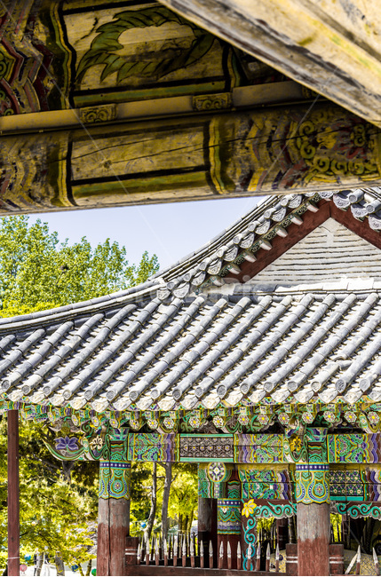 종각,사찰,문양,무늬,단청,한국전통,한국문화,korean traditional,korean culture,종교,신앙,religion,belief,faith,건축물,건물외관,exterior,building,structure,architecture,construction