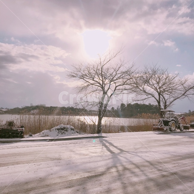 자연,해,하늘,겨울,시골,나무,겨울,계절,winter,season