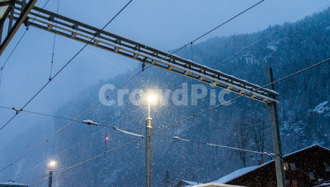 snow,눈,가로등,light,겨울,winter,감성,겨울,계절,winter,season