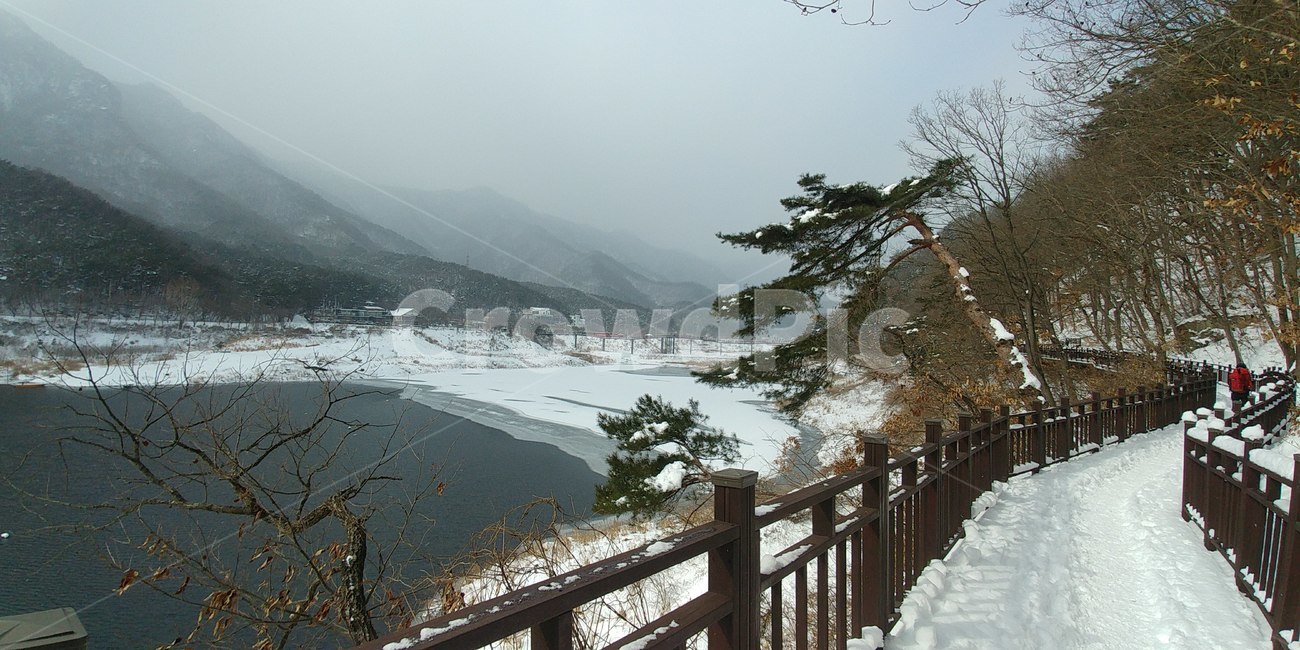 담양호,추월산,용마루길,담양,풍경,겨울,계절,winter,season,자연,풍경,nature,landscape,handrail,난간,banister,tree,나무,plant,식물,railing