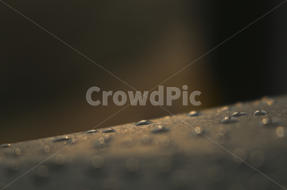 droplet,작은물방울,water,물,물방울,이슬,아침이슬,햇빛,light
