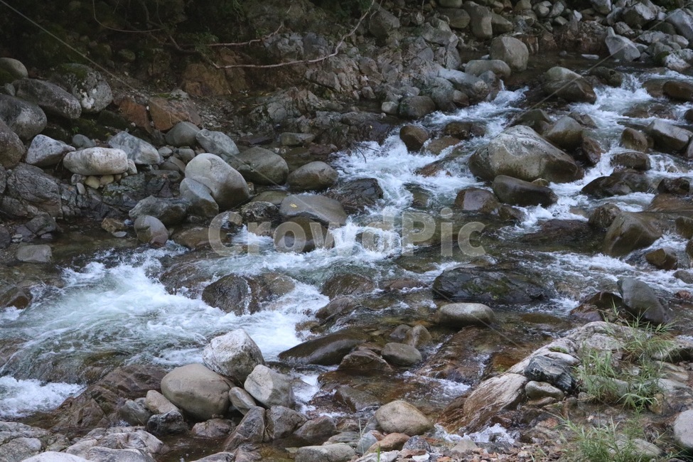 여름,휴가,계곡,물,나무,식물,초록,돌,바위,summer,natsu,vacation,kyuuka,valley,keikoku,water,mizu,tree,ki,plants,shokubutsu,green,midori,stone,ishi,rock,iwa,자연,풍경,nature,landscape,outdoors,옥외,stream,흐름,creek,작은 만