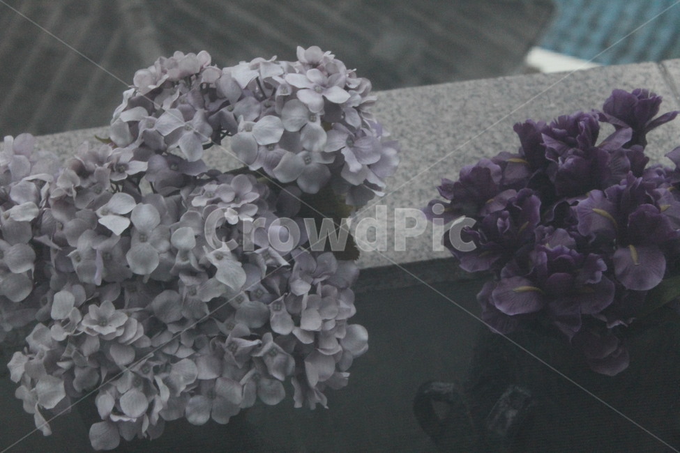 꽃,생화,flower,조화,florist