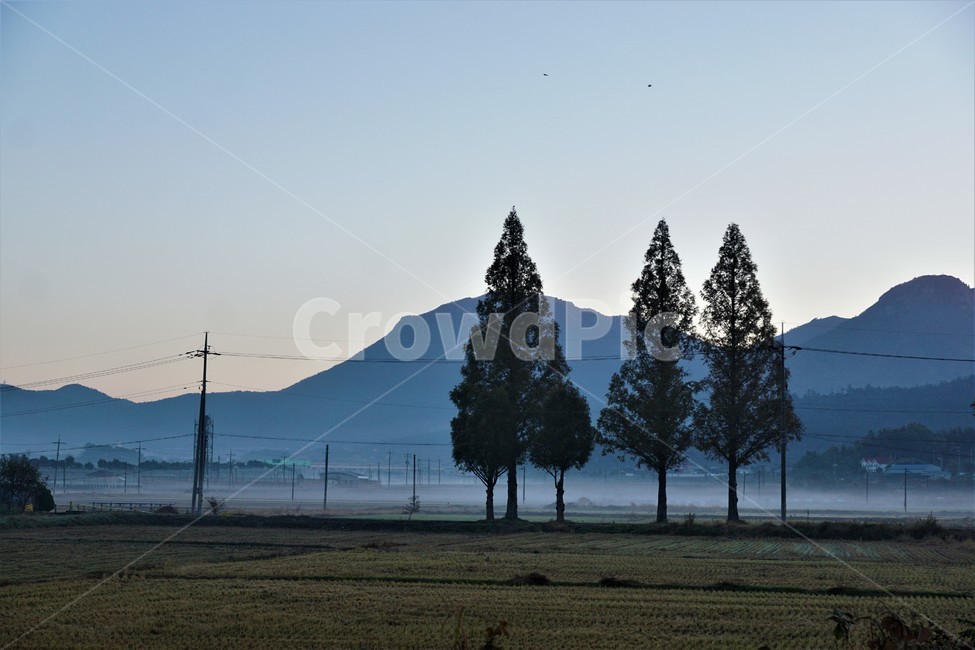 가을,아침,안개,산,자연,하늘,논,전봇대,tree,sky,nature,나무,plant,풍경,autumn,morning,mountain