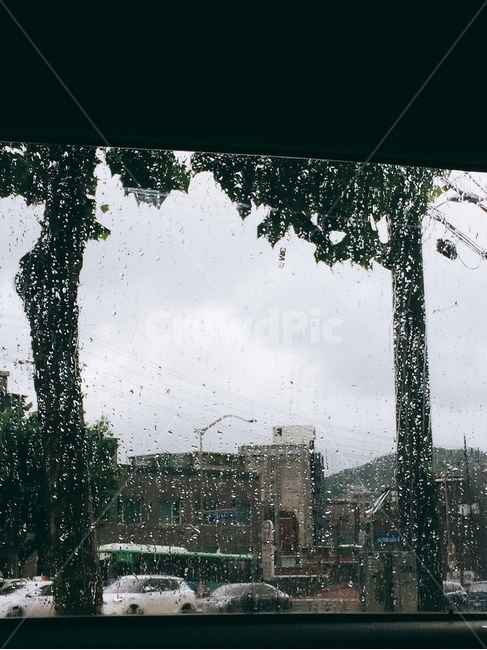 비,장마철,빗방울,창문,외로움,쓸쓸한,rain,summer,비,비오는날,rain,rainy