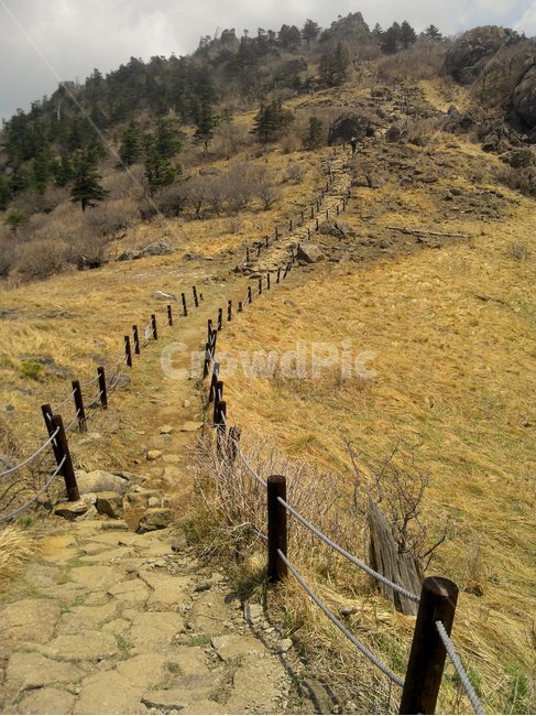 지리산,등산,길,산,자연,풍경