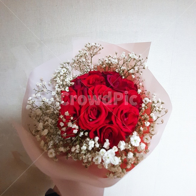 꽃,꽃다발,빨강,flower,장미