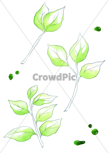 손그림,물감그림,handdrawing,watercolor,나뭇잎,leaf,foliage,umbrage,나뭇가지,bough,twig,sprig,branch