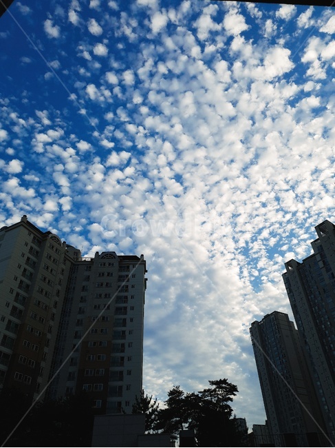 weather,날씨,nature,자연,officebuilding,사무실건물,building,건물,outdoors,옥외,도시,풍경,city,landscape