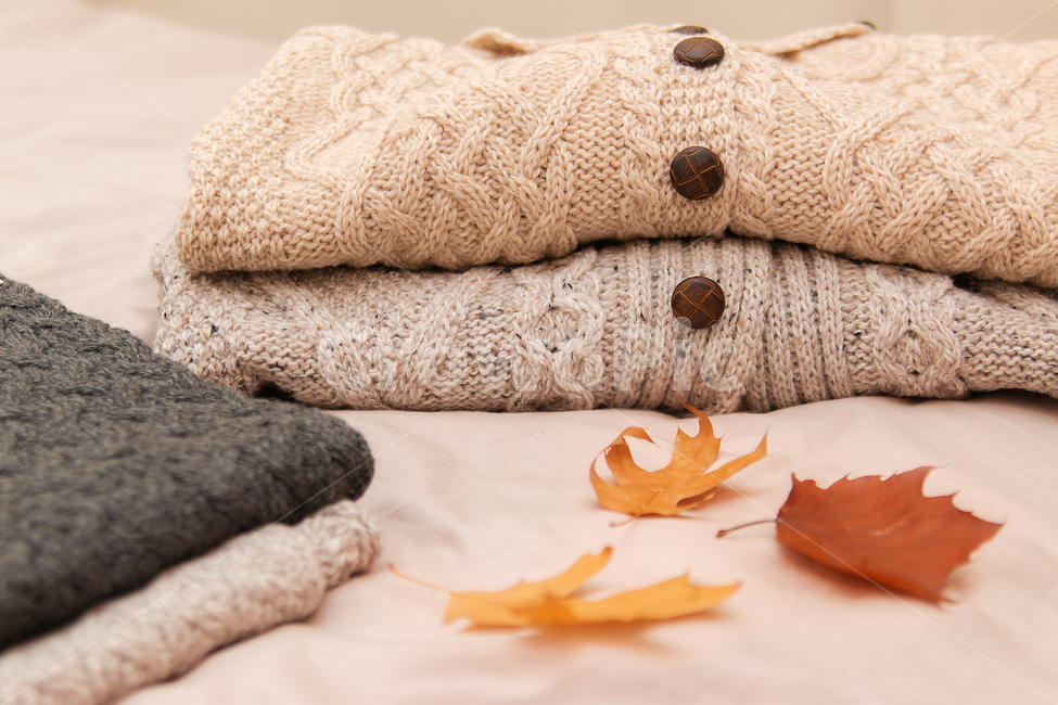 옷,니트,스웨터,가을,가을옷,겨울옷,계절,season,fall,autumn,낙엽,leaf,kintwear,sweater,clothes,clothing,의류,의복,apparel,가을,계절,fall,autumn,season,패션스타일,의상,fashion,style,잎,plant,식물