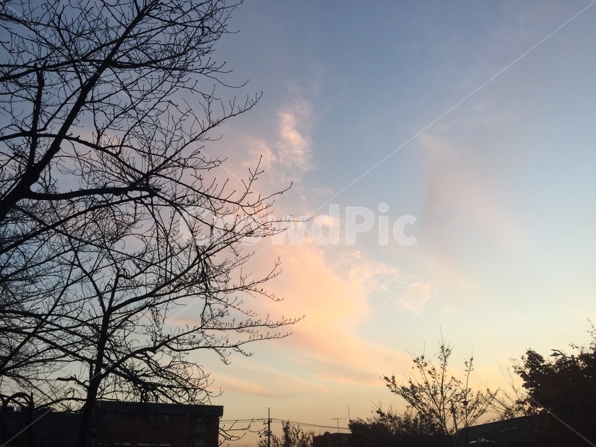 풍경,하늘,구름,노을,자연,outdoors,nature