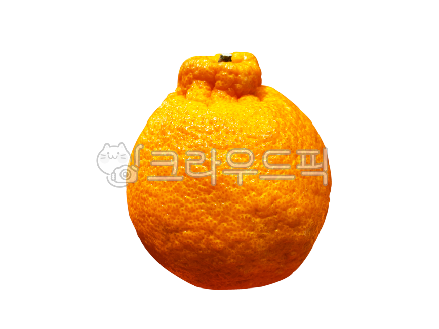 천혜향,황금향,감귤,png,배경,투명배경,누끼,귤,제주감귤,음식,과일,주황색,식재료,열매,감귤류과일,cheonhyehyang,goldenhyang,background,transparentbackground,isolated,tangerine,jejutangerine,food,orange,ingredients,fruit,citrusfruit