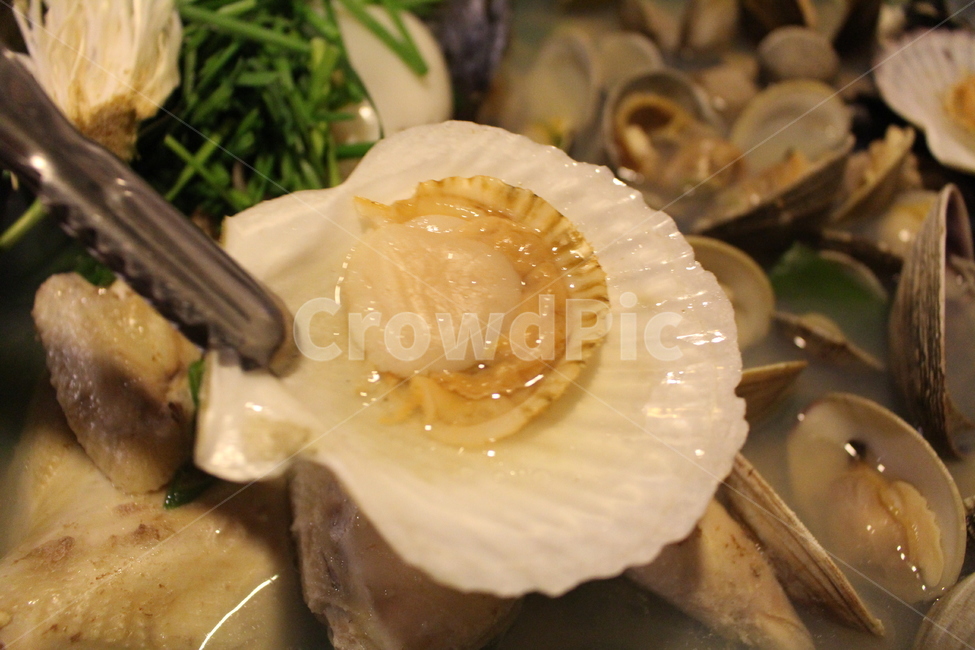 조개,해산물,가리비,조개찜,shell